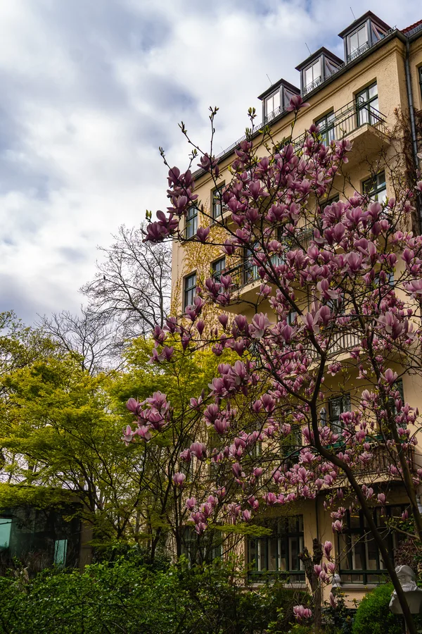 Berlin, 2026 — DSC09741